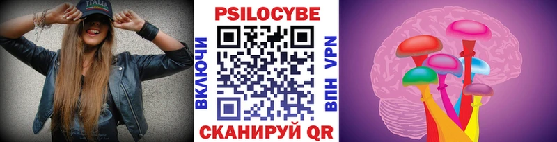 Галлюциногенные грибы Psilocybe  Агрыз 